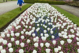 Tour di un giorno da Dublino: i migliori giardini e la campagna di Wicklow