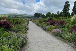 Tour di un giorno da Dublino: i migliori giardini e la campagna di Wicklow