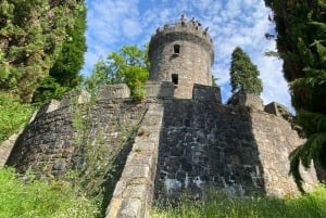 Tour di un giorno da Dublino: i migliori giardini e la campagna di Wicklow