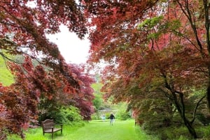 Tour di un giorno da Dublino: i migliori giardini e la campagna di Wicklow