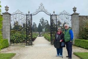 Tour di un giorno da Dublino: i migliori giardini e la campagna di Wicklow