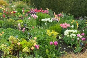 Tour di un giorno da Dublino: i migliori giardini e la campagna di Wicklow