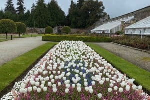 Tour di un giorno da Dublino: i migliori giardini e la campagna di Wicklow