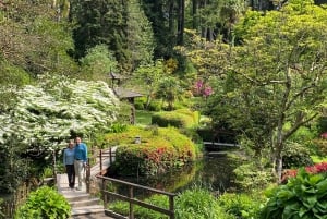 Tour di un giorno da Dublino: i migliori giardini e la campagna di Wicklow