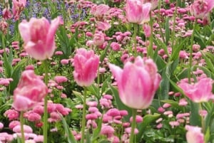 Tour di un giorno da Dublino: i migliori giardini e la campagna di Wicklow