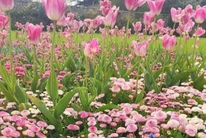 Tour di un giorno da Dublino: i migliori giardini e la campagna di Wicklow