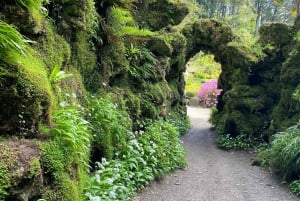 Tour di un giorno da Dublino: i migliori giardini e la campagna di Wicklow