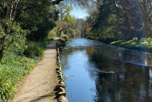 Tour di un giorno da Dublino: i migliori giardini e la campagna di Wicklow