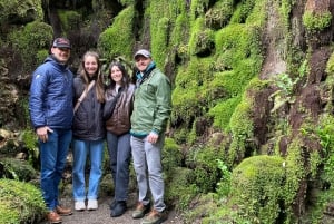 Tour di un giorno da Dublino: i migliori giardini e la campagna di Wicklow