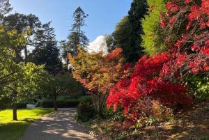 Tour di un giorno da Dublino: i migliori giardini e la campagna di Wicklow