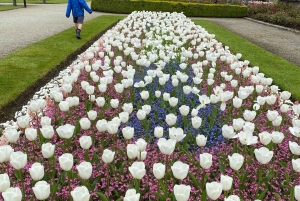 Однодневная экскурсия из Дублина: лучшие сады и сельская местность Уиклоу