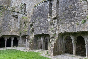 Jednodniowa wycieczka: Wzgórze Tara Zamek Trim Dolina Boyne Celtyckie miejsca