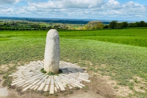 Jednodniowa wycieczka: Wzgórze Tara Zamek Trim Dolina Boyne Celtyckie miejsca