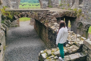 Jednodniowa wycieczka: Wzgórze Tara Zamek Trim Dolina Boyne Celtyckie miejsca