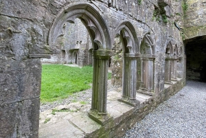 Jednodniowa wycieczka: Wzgórze Tara Zamek Trim Dolina Boyne Celtyckie miejsca