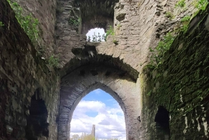 Jednodniowa wycieczka: Wzgórze Tara Zamek Trim Dolina Boyne Celtyckie miejsca