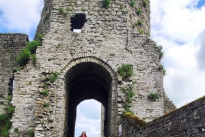 Jednodniowa wycieczka: Wzgórze Tara Zamek Trim Dolina Boyne Celtyckie miejsca