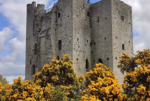 Jednodniowa wycieczka: Wzgórze Tara Zamek Trim Dolina Boyne Celtyckie miejsca