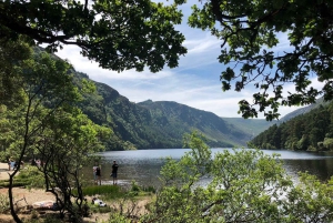 Day Tour of Wicklow Mountains National Park from Dublin