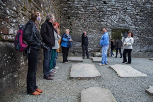 Day Tour of Wicklow Mountains National Park from Dublin