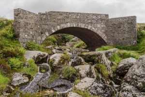 Wycieczka jednodniowa: prywatna wycieczka do Wicklow i Glendalough