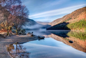 Excursão de um dia: tour particular para Wicklow e Glendalough