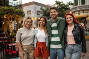 Descubre Dublín en un tour privado a pie por Navidad