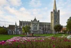 ダブリンを 1 日でドライブ - ダブリン市/ダン レアリー港発