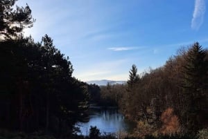 ダブリンを 1 日でドライブ - ダブリン市/ダン レアリー港発