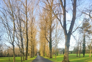 Conduite par l'excellence, définie par le prestige Transfers Wheels