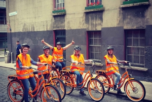 Dublin 2-Hour E-Bike Tour with a Local Guide
