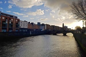 Dublin: 2-Hour Guided City Tour for American Tourists