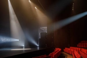 Dublin: Abbey Theatre Guidet Backstage-tur