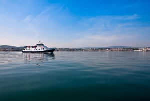 Dublin Bay: Båttur från centrum till Dun Laoghaire