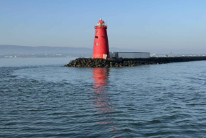Dublin Bay: Kreuzfahrt vom Stadtzentrum nach Dun Laoghaire