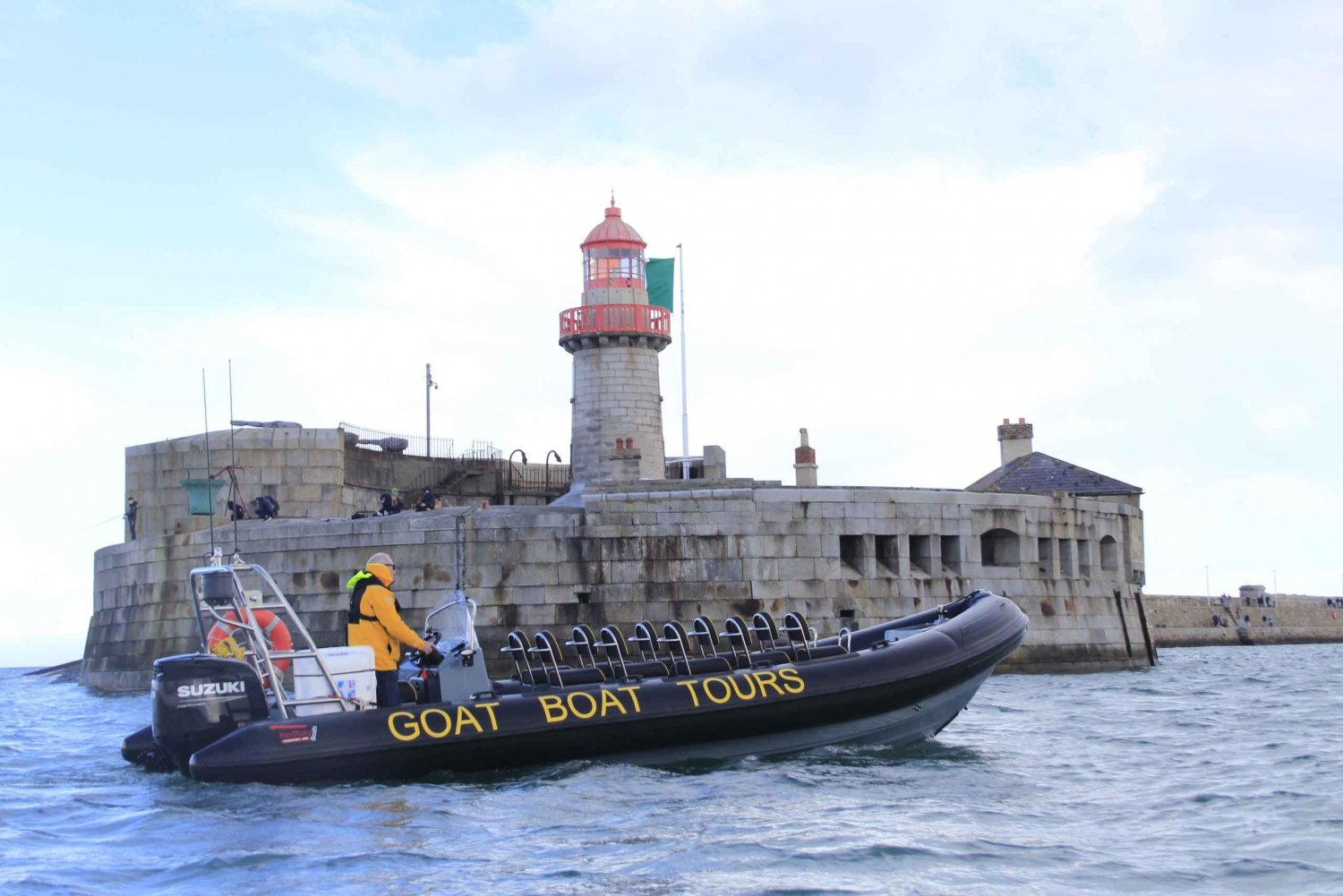Dublin: Bådtur med historie og dyreliv med live-kommentarer