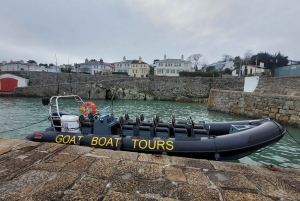 Dublin: History and Wildlife Boat Tour with Live Commentary
