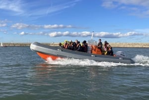 Dublin Bay Tour