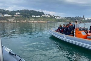 Dublin Bay Tour