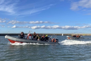 Dublin Bay Tour