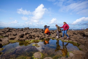 Dublin: Giant's Causeway & Belfast (Titanic or Black Taxi)