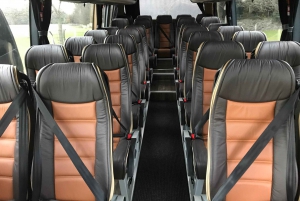 Dublin: Blarney Castle Small Group Tour