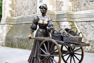 Dublin: Book of Kells and Old Town Tour with Whiskey Tasting
