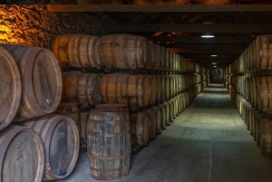 Dublin: Kellin kirja ja vanhankaupungin kierros viskimaistajaisilla