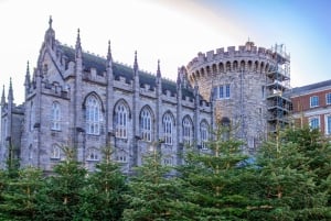 Dublin: zwiedzanie Księgi z Kells, Zamku Dublińskiego i Kościoła Chrystusowego