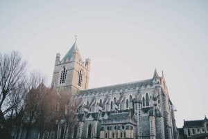 Dublin: Book of Kells, Dublin Castle and Christ Church Tour