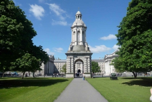 Dublin: Book of Kells, Dublin Castle and Christ Church Tour