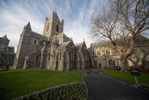 Dublin: Book of Kells, Dublin Castle and Christ Church Tour
