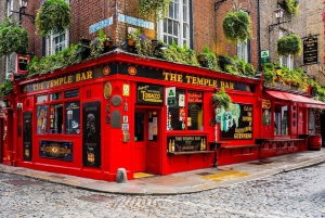 Dublin: Book of Kells, Dublin Castle and Christ Church Tour