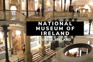 Dublin: Book of Kells, Trinity College, Museum and City Tour